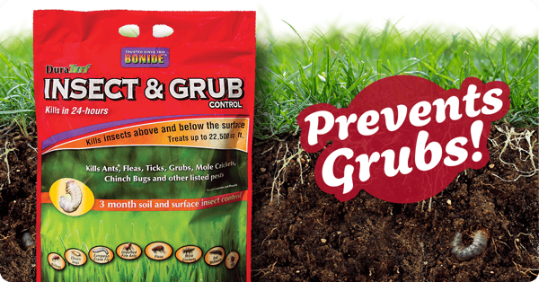 How To Get Rid Of Grub Worms In Your Lawn Ifa S Helping To Grow Blog