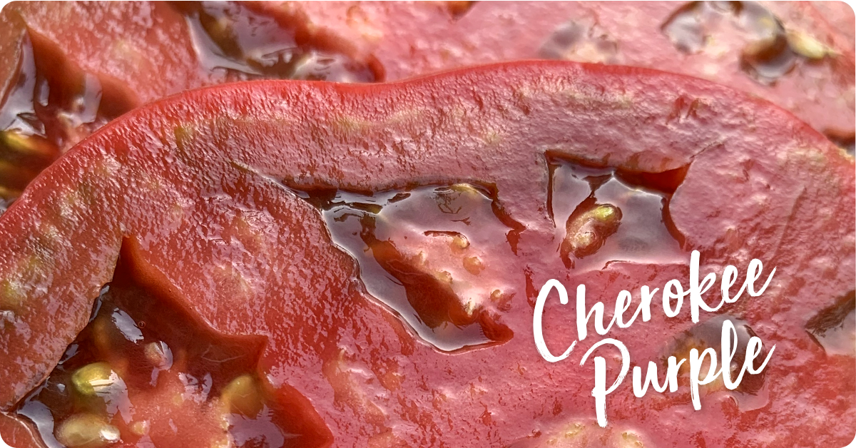 how-to-grow-big-tomatoes_img3b