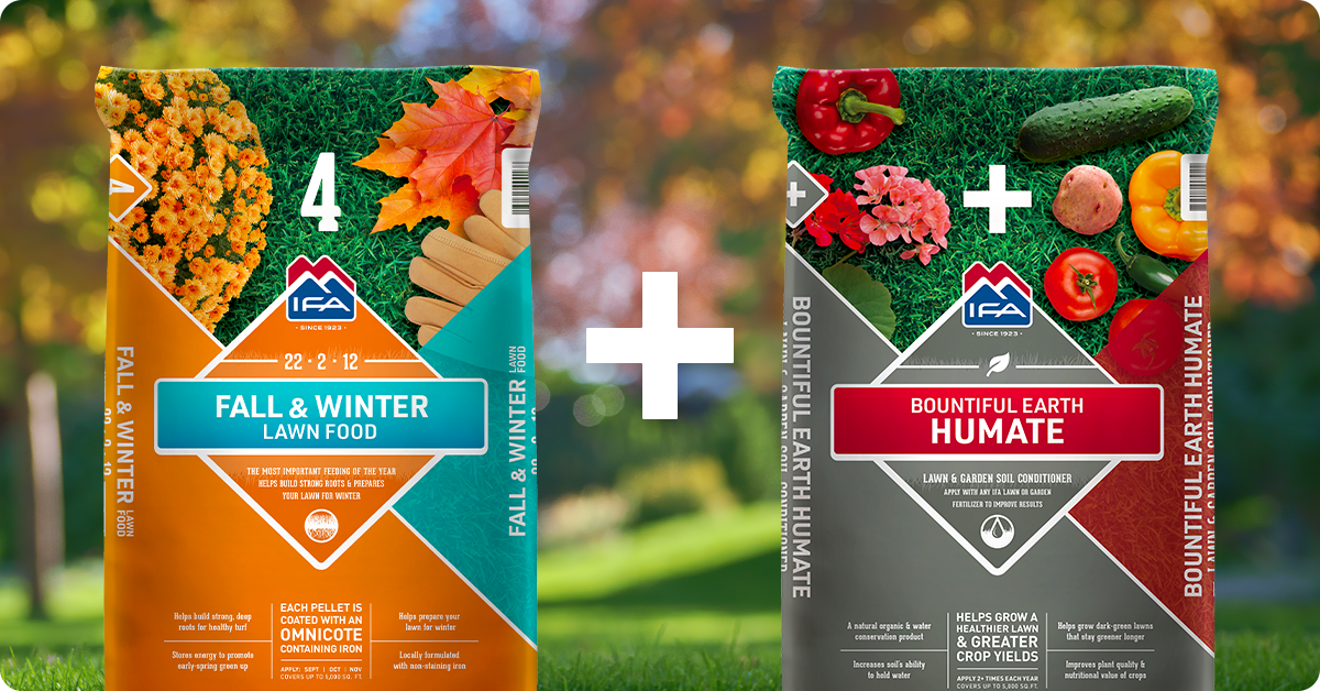Fall & Winter Lawn Fertilizer: Step 4 to a Healthy Lawn