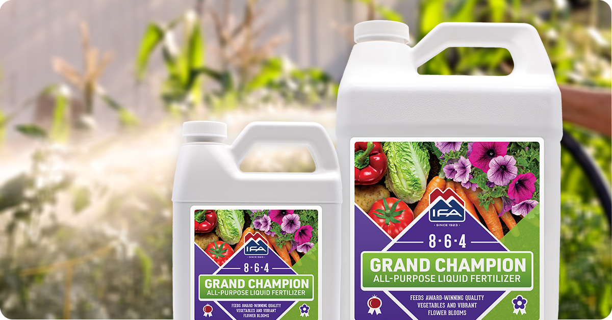 Bottles of IFA Grand Champion All-Purpose Liquid Fertilizer.