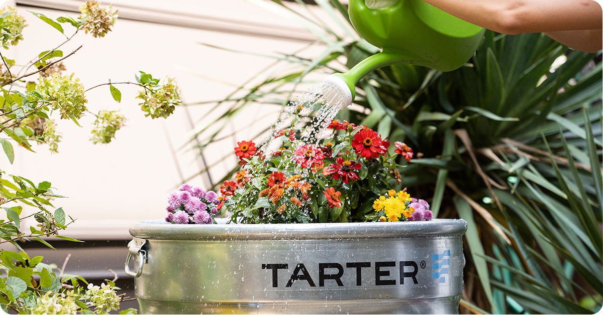 A woman waters colorful planted flowers in a Tarter raised garden tub.