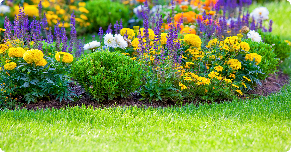 A beautiful flower garden filled with purple, yellow, white, and orange flowers.