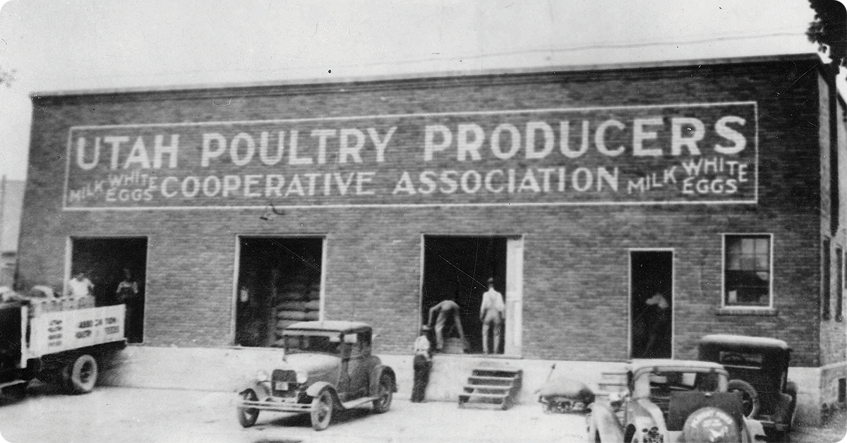 100 Years of Growing Healthy Chickens IFA's Helping to Grow Blog