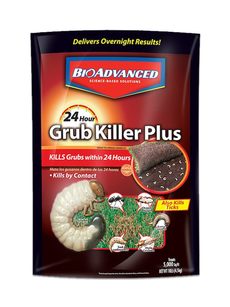 How To Get Rid of Grub Worms In Your Lawn | IFA's Helping to Grow Blog