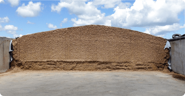 Managing Your Silage Pile | IFA’s Helping to Grow Blog