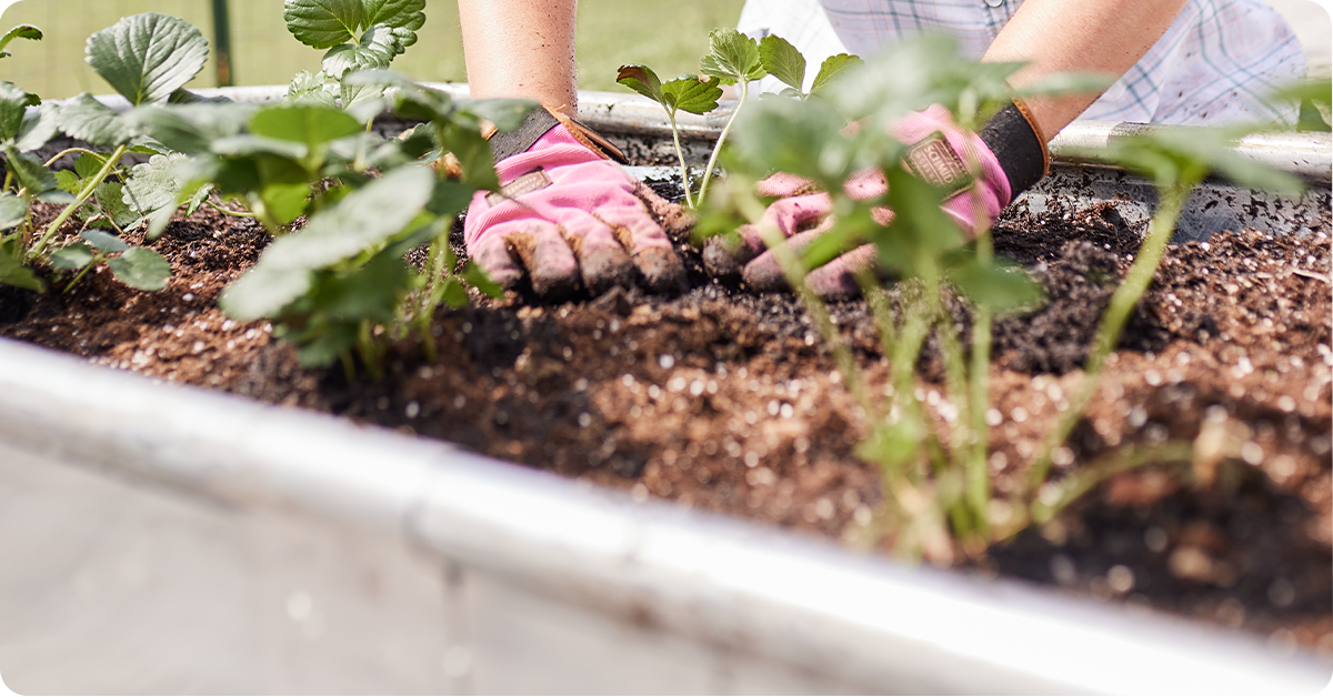 raised-bed-gardening-img13