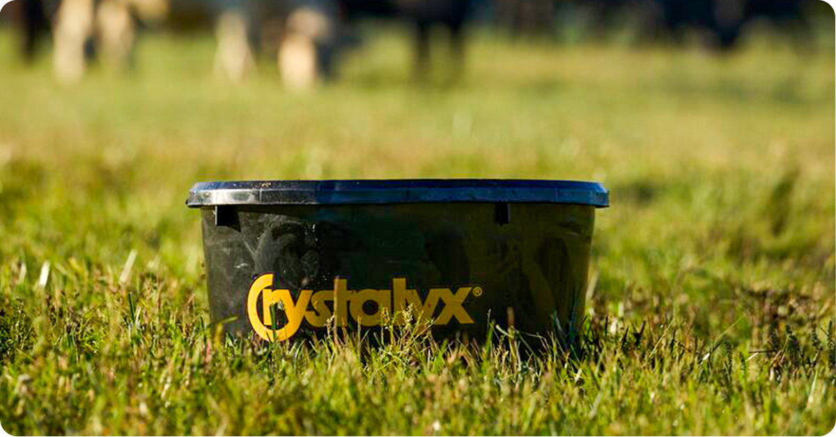 ultimate-guide-to-beef-cattle-protein-supplementation-img22