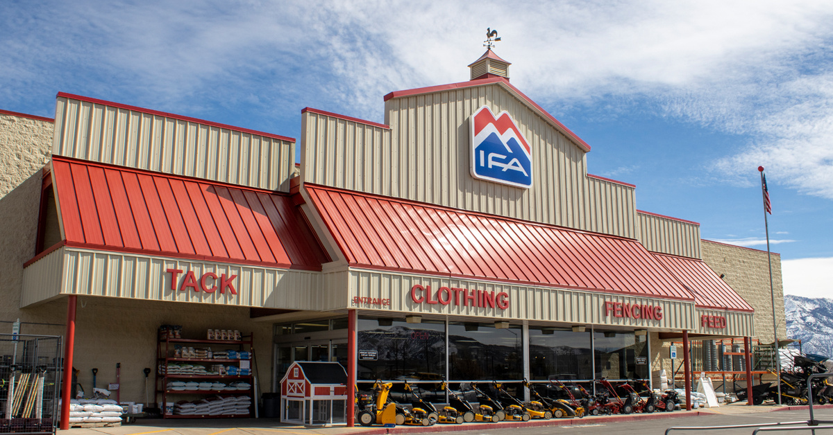 Ica In Store Farm Blog Helping to Grow | IFA | Chickens