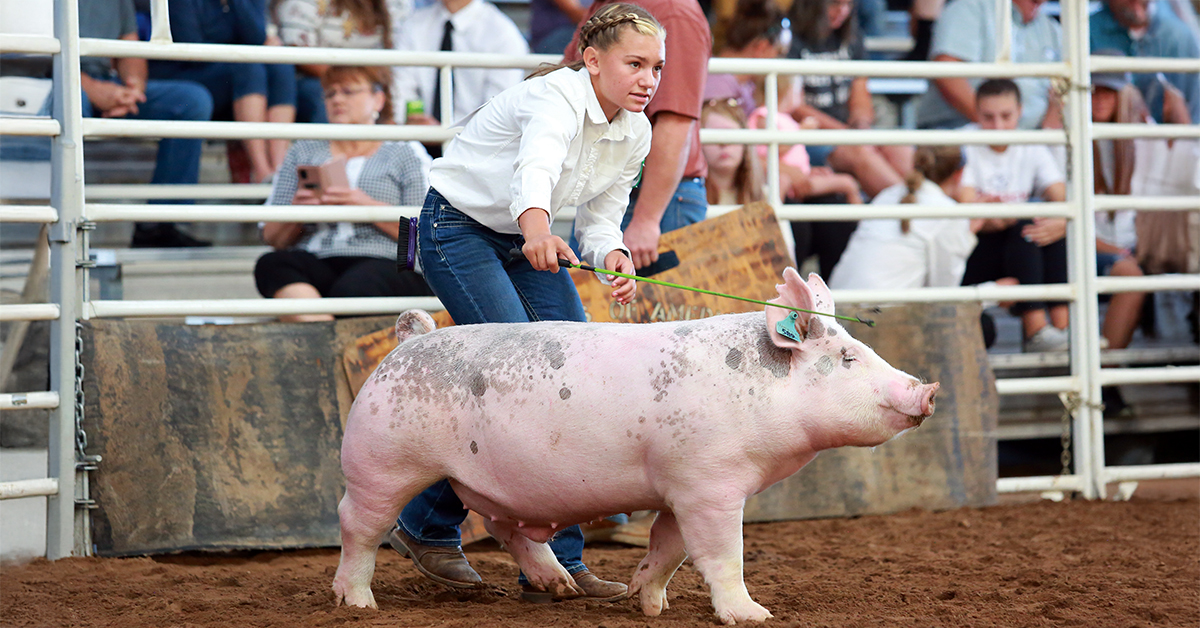 Growing Champions: Weaver Livestock Products and Clinics at IFA