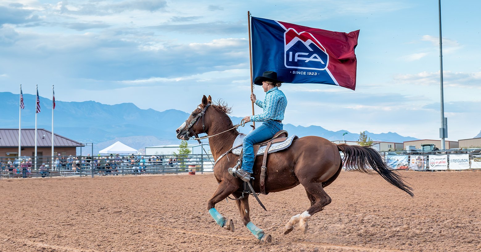Horse Tack, Health and Roping Gear: Equine Sports with IFA