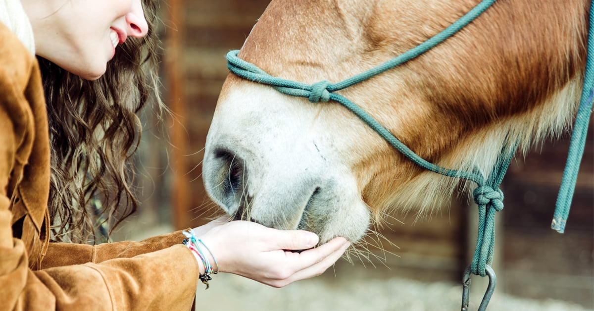 Miniature Horse & Pony Concentrate Feed Supplement