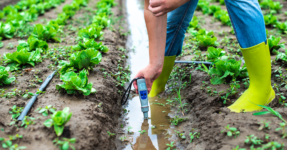 Test Your Irrigation Water Throughout the Growing Season to Maximize Nutrient Availability