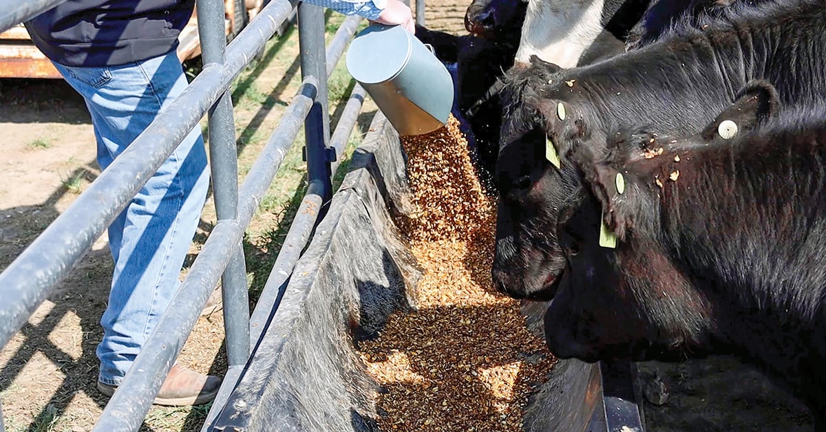 The Feed Label: A Closer Look at Livestock Feed, Guaranteed Analysis and Feed Ingredients
