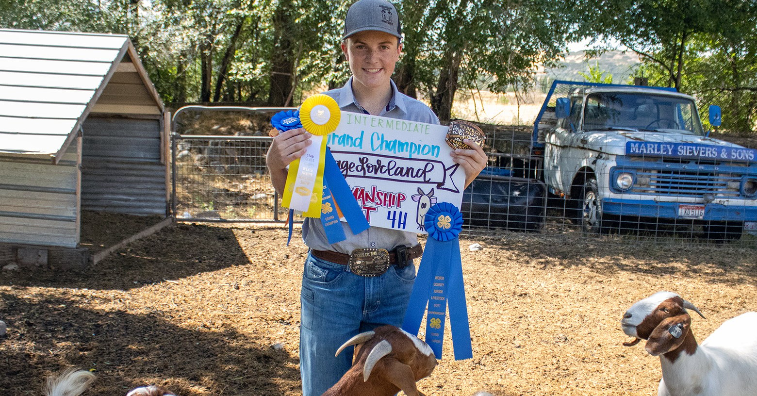 Young Producer Spotlight: Gage Loveland’s Legendary Uintah Boer Goats