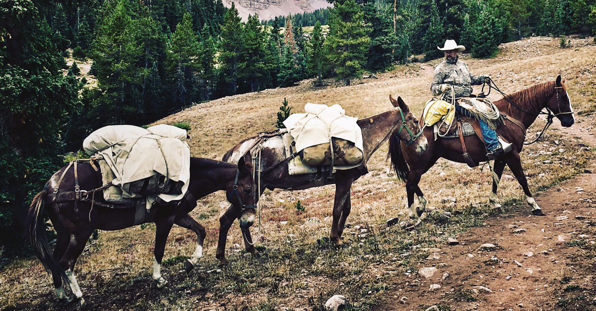 Pack Trip Prep: Saddles and Panniers