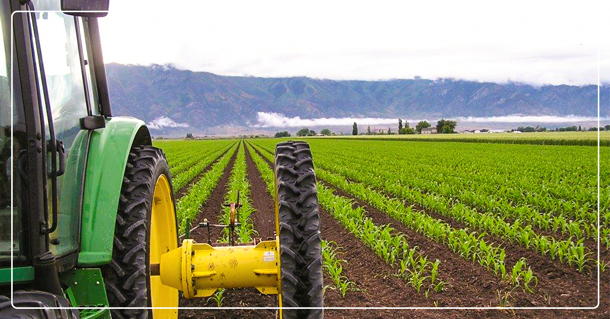 Combine Pest Control Methods into a Integrated Pest Management Program