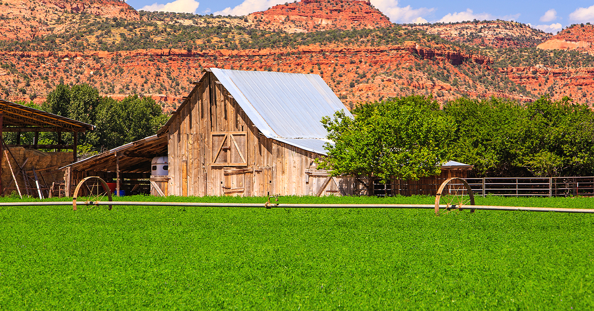 6 Projects All Farmers Should Tackle Each Fall