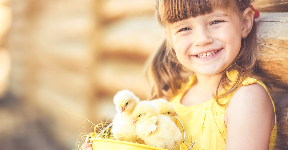 10 Family-Friendly Chicken Breeds That Are Great for Kids