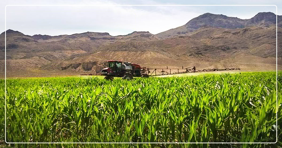 3 New Agricultural Pests Invading Intermountain West Farms