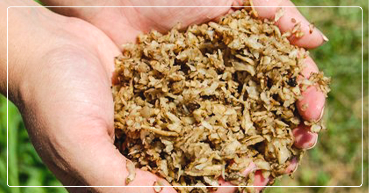 10 Great Alternatives to Hay That Maintain Performance and Save Money