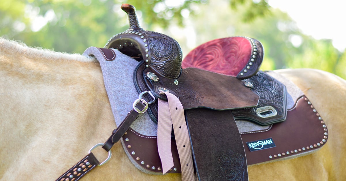 How to Fit a Western Saddle