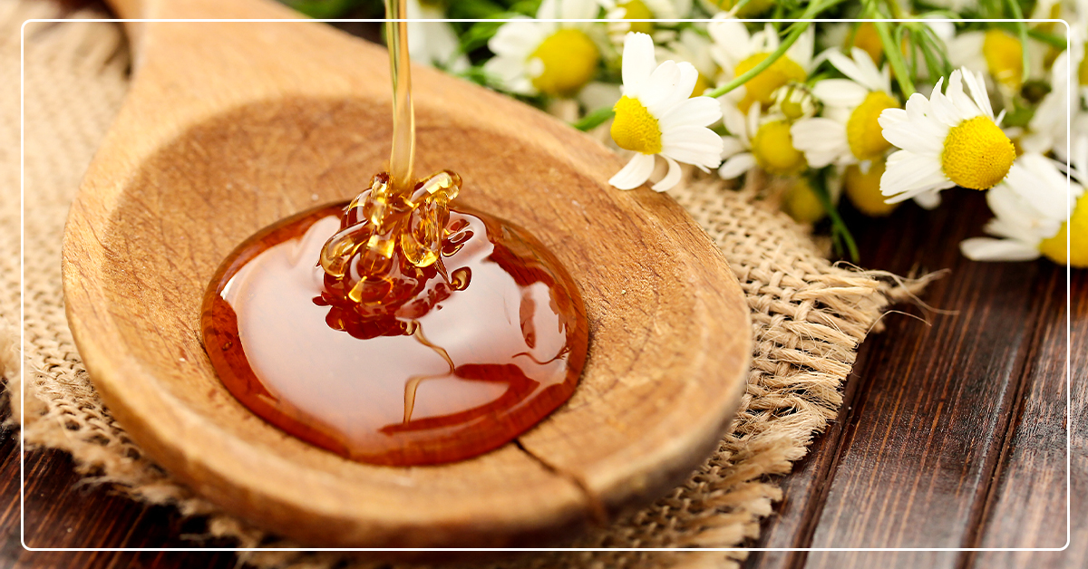 How to Harvest Honey From Your Beehive