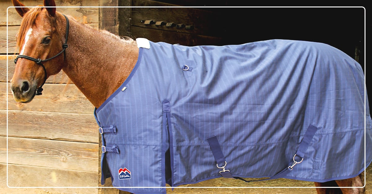 An Easy Guide to Winter Horse Blankets