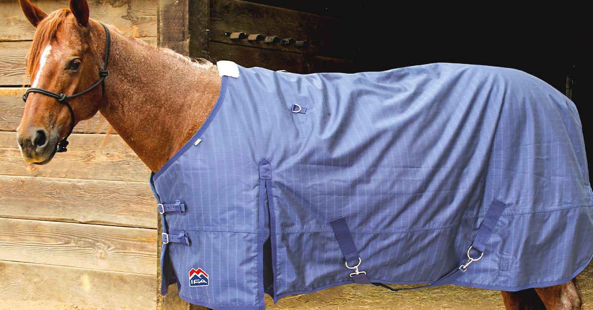 An Easy Guide to Winter Horse Blankets | IFA's Helping to Grow Blog