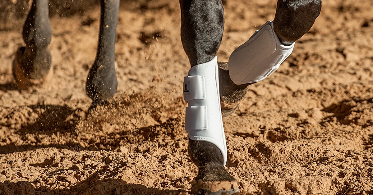 Protective Leg Gear for Horses