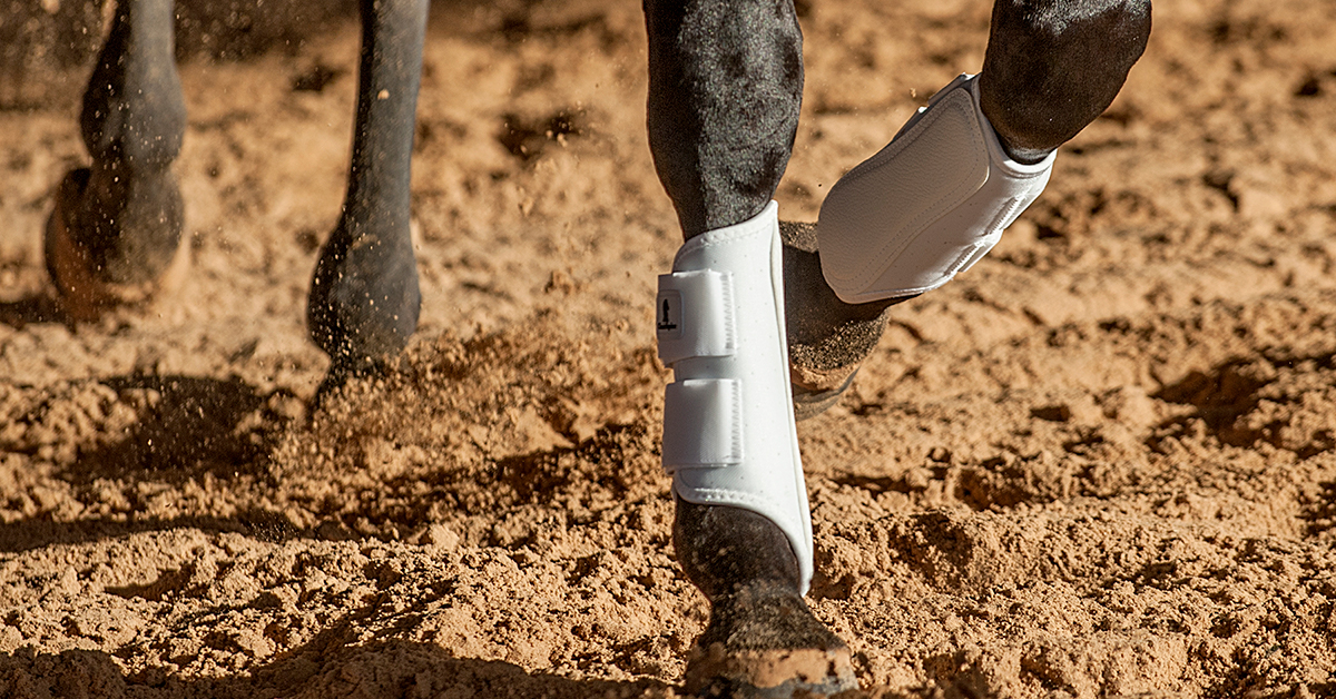 Different Forms of Leg Protection for your Equine Friend - Central