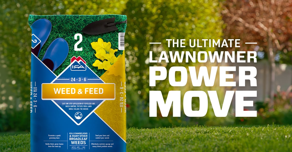 Weed & Feed Lawn Fertilizer: Step 2 to a Healthy Lawn