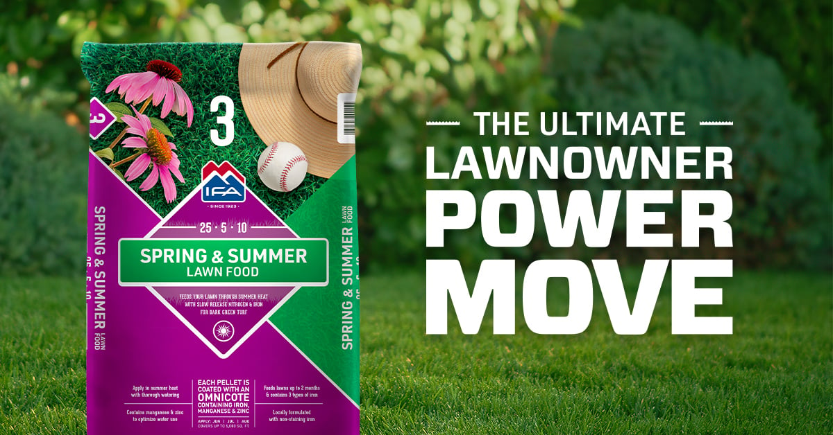 Summer lawn outlet fertilizer