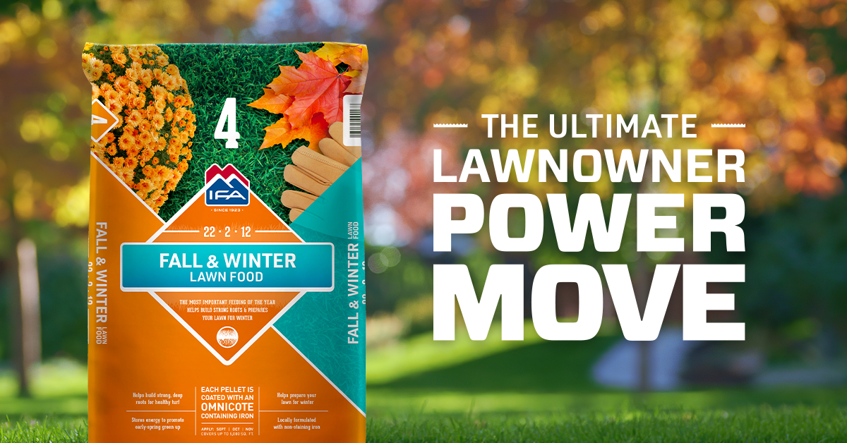 Fall & Winter Lawn Fertilizer: Step 4 to a Healthy Lawn