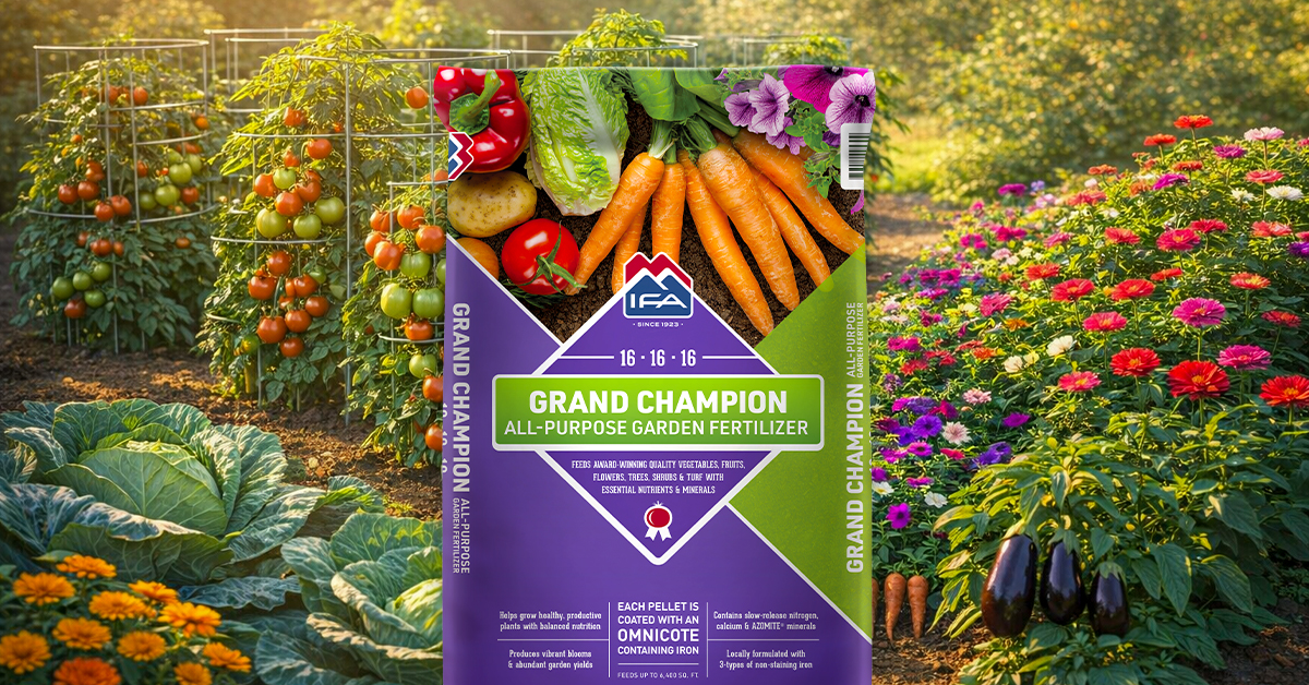 Grow Your Best Garden Yet with IFA Grand Champion Garden Fertilizer