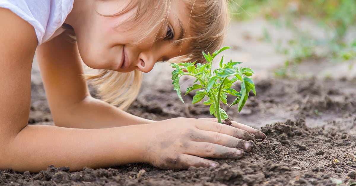 How To Build a Family-Friendly Garden Your Kids Will Love