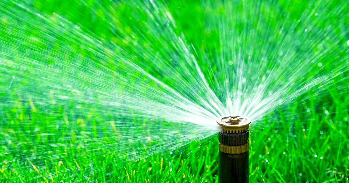 IFA's Lawn Watering Guide - The Best Time To Water Your Grass