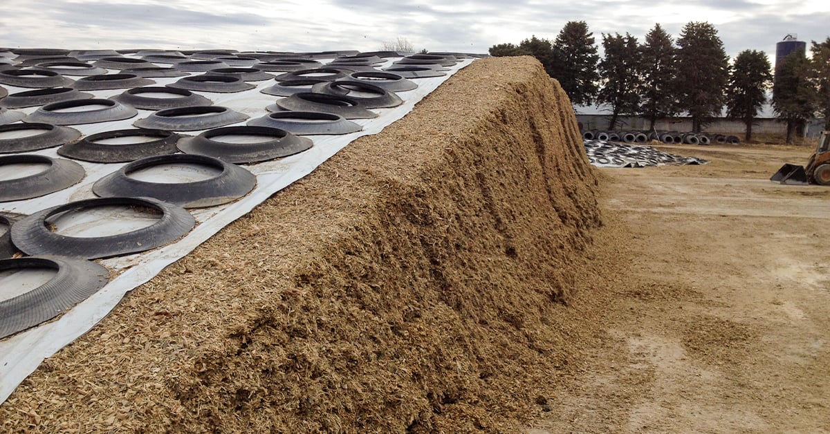 Tips to Managing Your Silage Pile