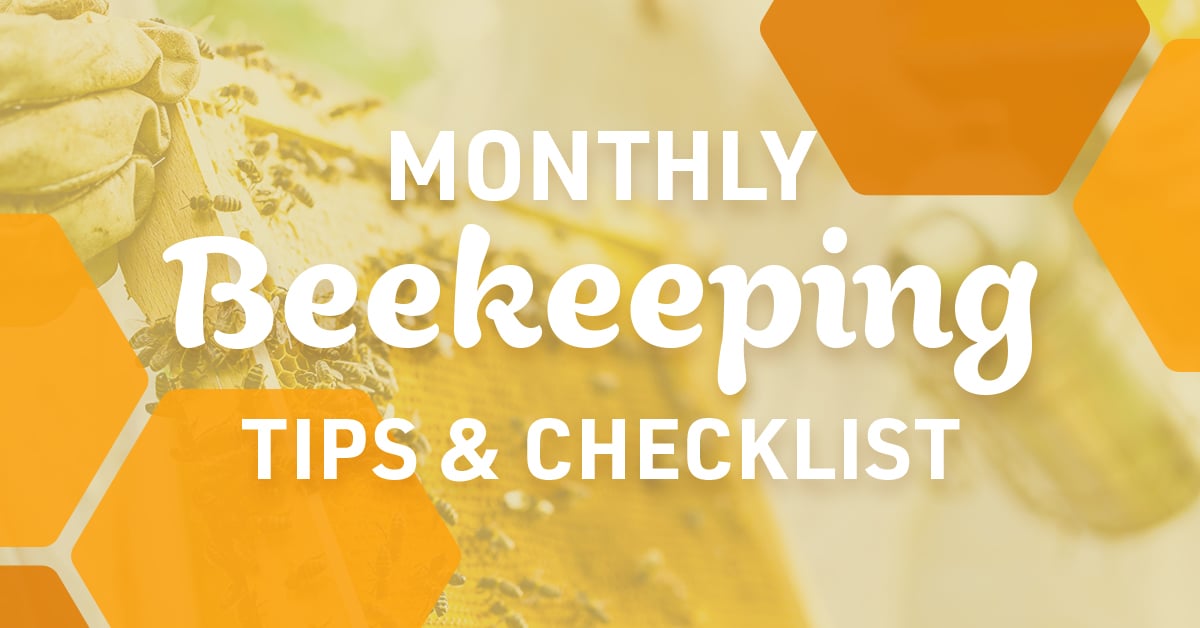Monthly Beekeeping Guide: Bee Activity and Beekeeper To-Dos