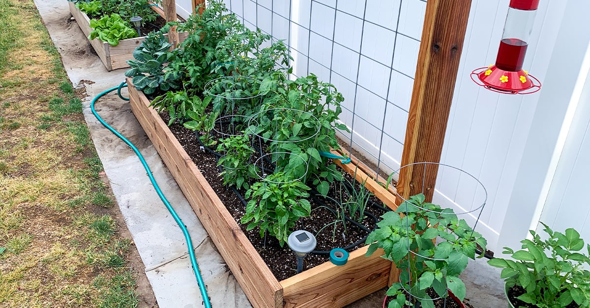 How to Start a Raised Garden Bed
