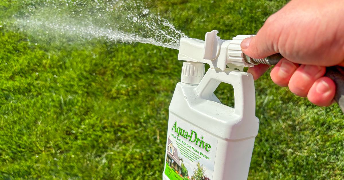 How to Save Water and Enjoy a Lush, Green Lawn