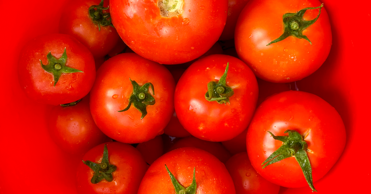 Tomato Plant Care: How to Have More Productive Tomato Plants