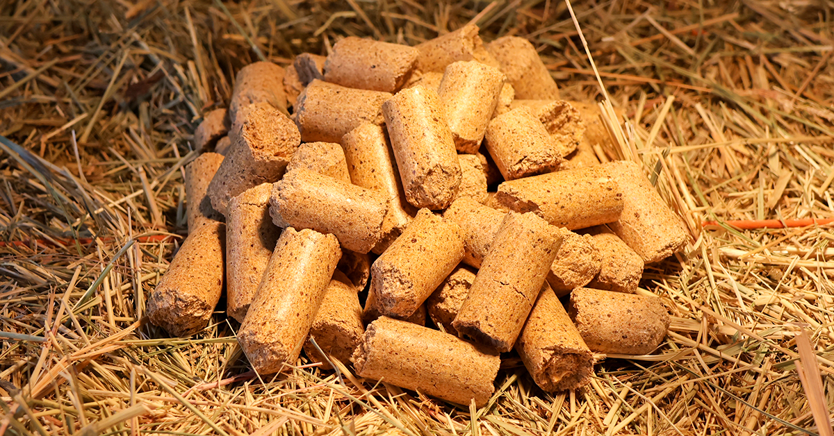 Choosing the Right Cattle Protein Supplement: Cost vs. Convenience