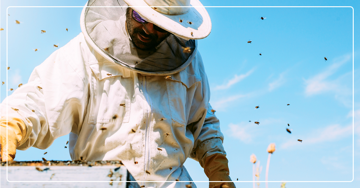 Virtual Beekeeping Classes